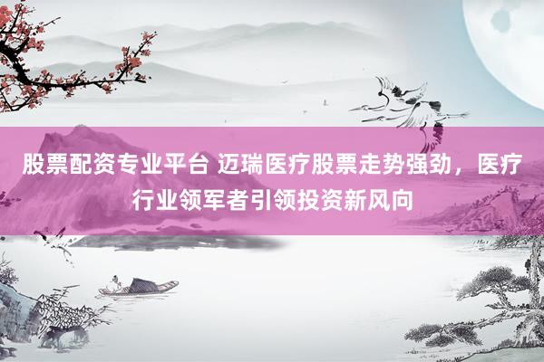 股票配资专业平台 迈瑞医疗股票走势强劲，医疗行业领军者引领投资新风向