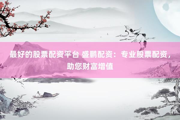 最好的股票配资平台 盛鹏配资：专业股票配资，助您财富增值
