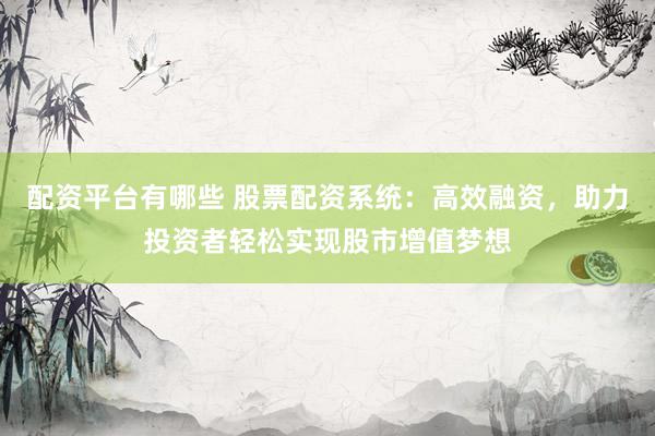 配资平台有哪些 股票配资系统：高效融资，助力投资者轻松实现股市增值梦想