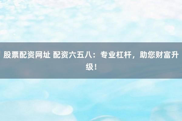 股票配资网址 配资六五八：专业杠杆，助您财富升级！