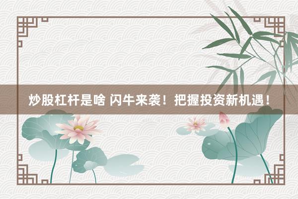 炒股杠杆是啥 闪牛来袭！把握投资新机遇！