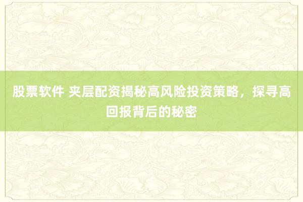 股票软件 夹层配资揭秘高风险投资策略，探寻高回报背后的秘密