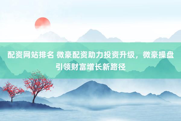 配资网站排名 微豪配资助力投资升级，微豪操盘引领财富增长新路径