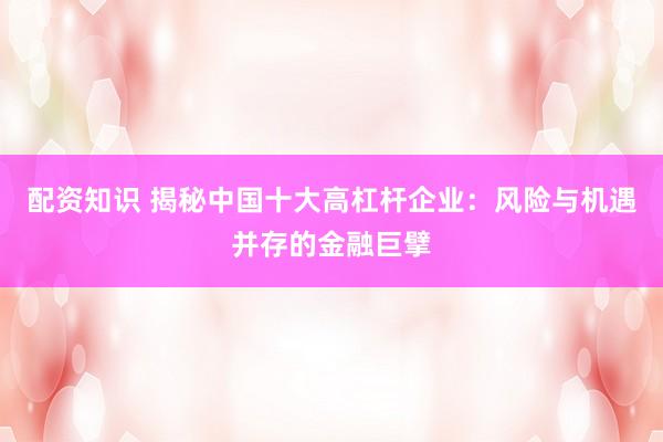 配资知识 揭秘中国十大高杠杆企业：风险与机遇并存的金融巨擘