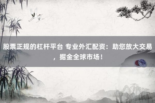 股票正规的杠杆平台 专业外汇配资：助您放大交易，掘金全球市场！