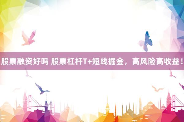 股票融资好吗 股票杠杆T+短线掘金,高风险高收益!