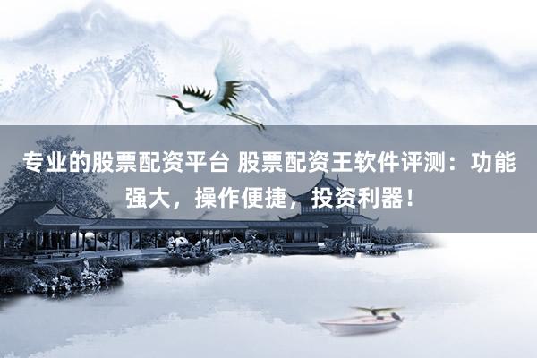 专业的股票配资平台 股票配资王软件评测:功能强大,操作便捷,投资利器!
