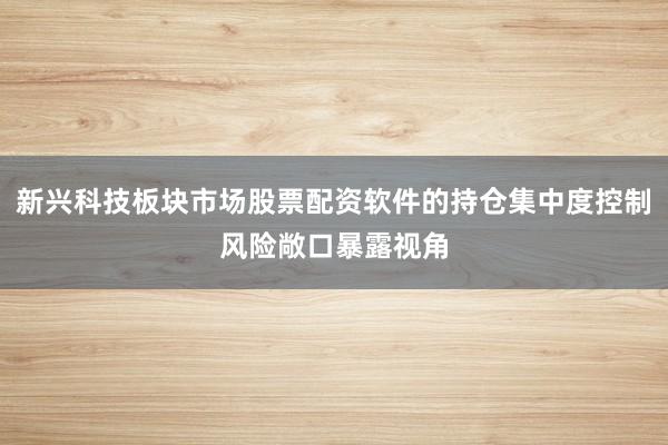新兴科技板块市场股票配资软件的持仓集中度控制风险敞口暴露视角