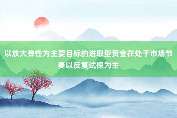 以放大弹性为主要目标的进取型资金在处于市场节奏以反复试探为主