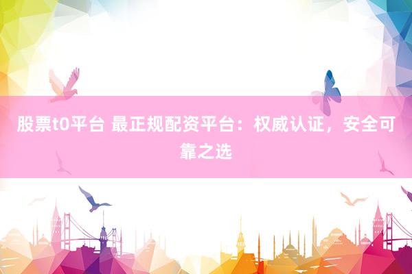 股票t0平台 最正规配资平台：权威认证，安全可靠之选